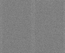 NOAA1520250609-173503-MSA-precip-DD.jpg