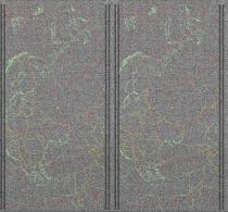 NOAA1820250607-120129-MSA-precip-DD.jpg