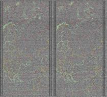NOAA1820250623-115615-MSA-precip-DD.jpg
