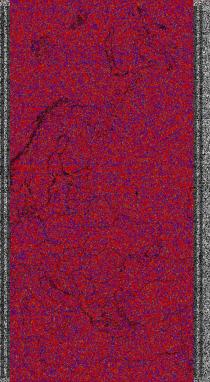 NOAA1820250628-123225-therm-DD.jpg