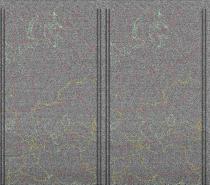 NOAA1820250629-103851-MSA-precip-DD.jpg