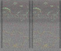 NOAA1820250629-203256-MSA-precip-DD.jpg