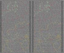 NOAA1820250708-102322-MSA-precip-DD.jpg