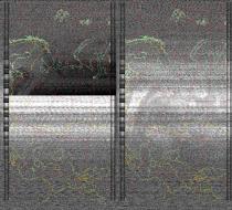 NOAA1920250624-200752-MSA-precip-DD.jpg
