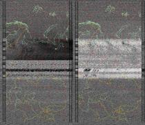 NOAA1920250625-195528-MSA-precip-DD.jpg