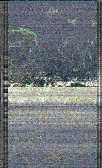NOAA1920250626-194307-MSA-precip-DD.jpg