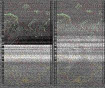 NOAA1920250627-193047-MSA-precip-DD.jpg