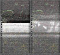NOAA1920250709-201844-MSA-precip-DD.jpg