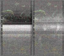 NOAA1920250710-200618-MSA-precip-DD.jpg